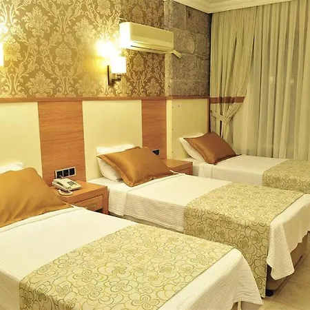 阿索斯公园酒店 3* Assos