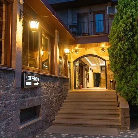 阿索斯公园酒店 3* Assos